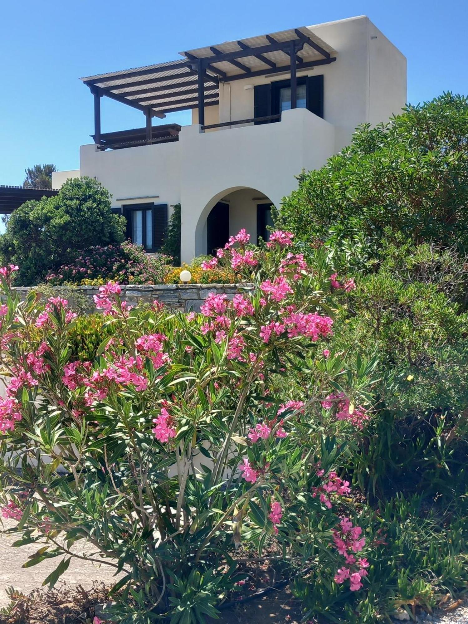 איוס פרוקופיוס Kedros Villas מראה חיצוני תמונה