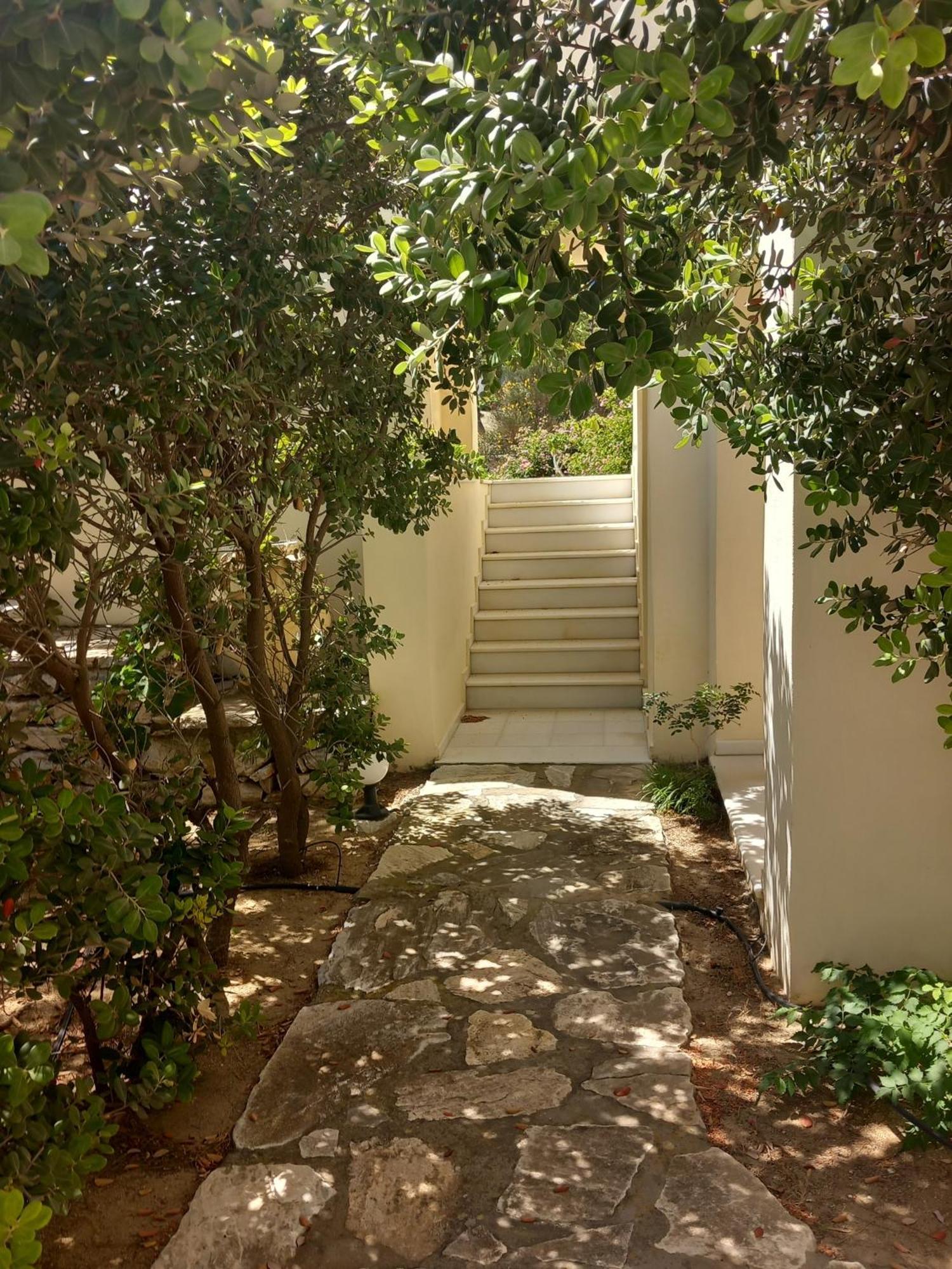 איוס פרוקופיוס Kedros Villas מראה חיצוני תמונה