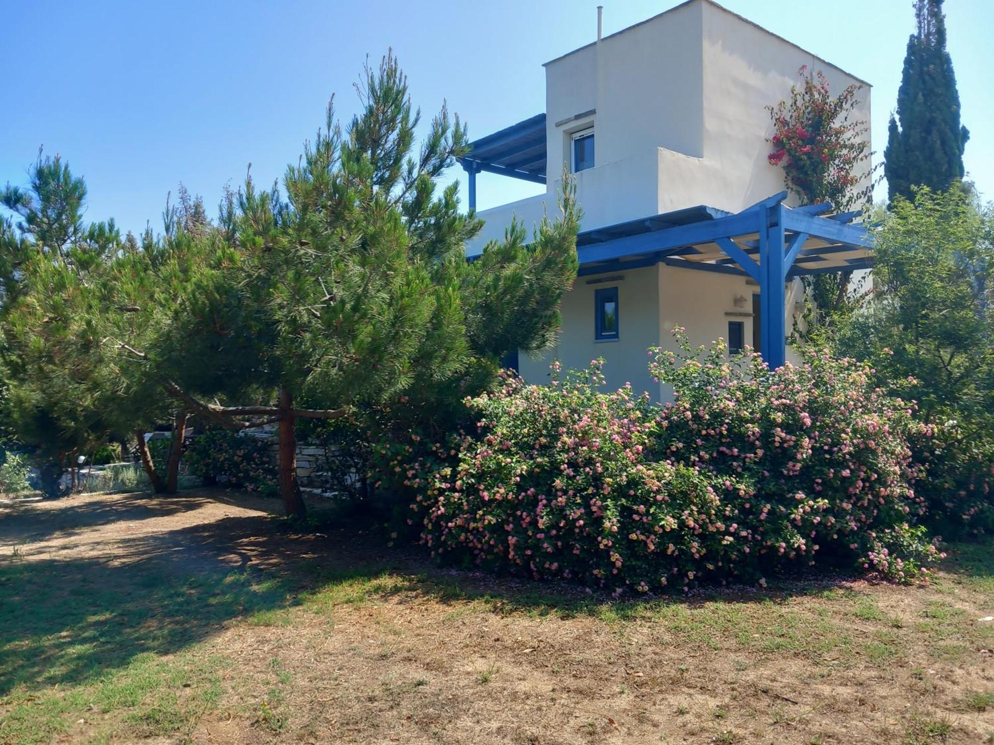 איוס פרוקופיוס Kedros Villas מראה חיצוני תמונה