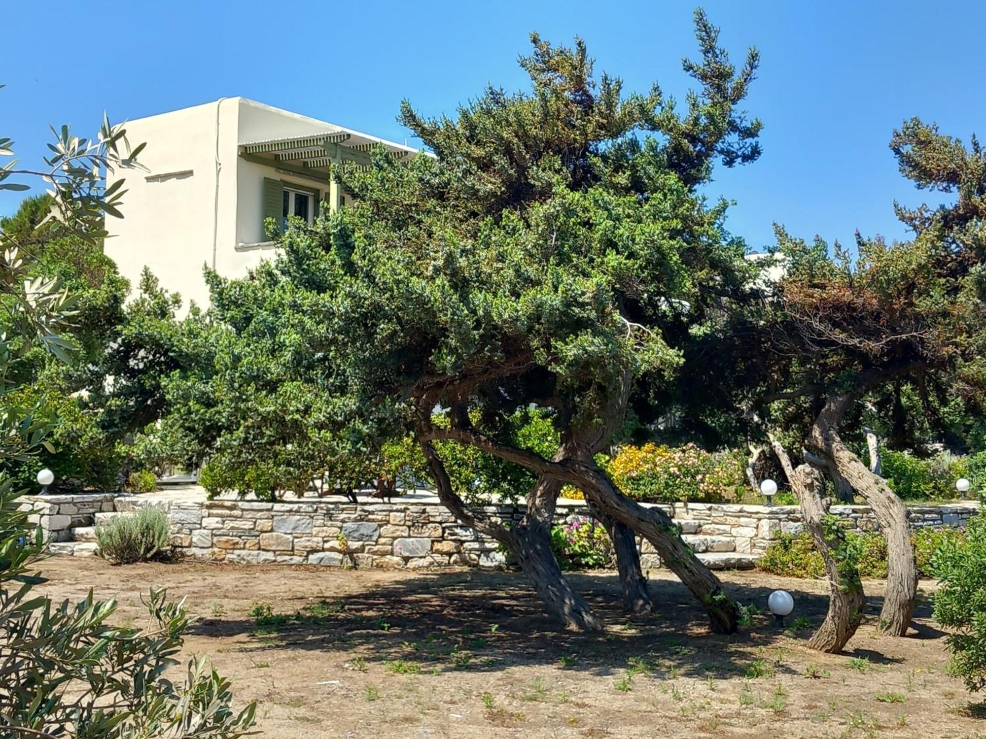 איוס פרוקופיוס Kedros Villas מראה חיצוני תמונה
